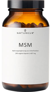 MSM Kapseln